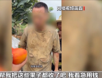 假剧本真牟利！央视曝光卖惨主播骗人流水线多万